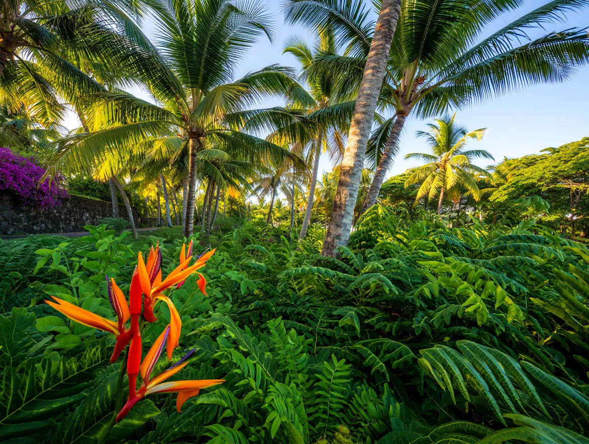 Seasonal garden care in Queensland